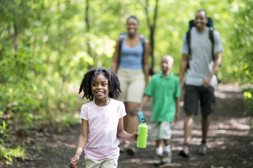 A family of four are hiking through the woods on a beautiful sunny day.