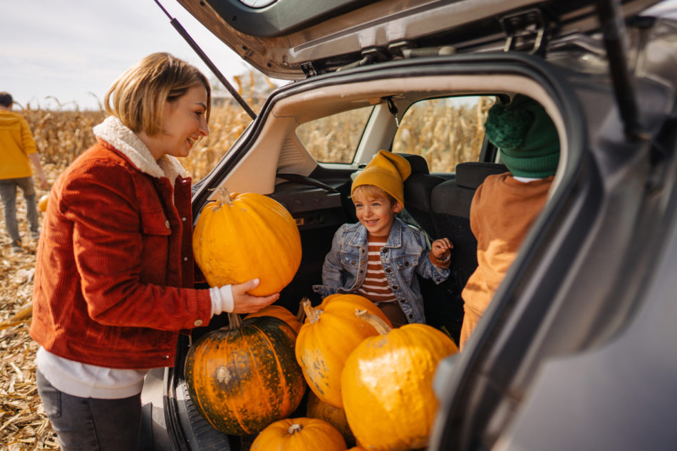 Photo of cute little boys putting pumpkins into a car trunk