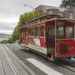 Explore The City With Molly’s Trolleys’ Rides