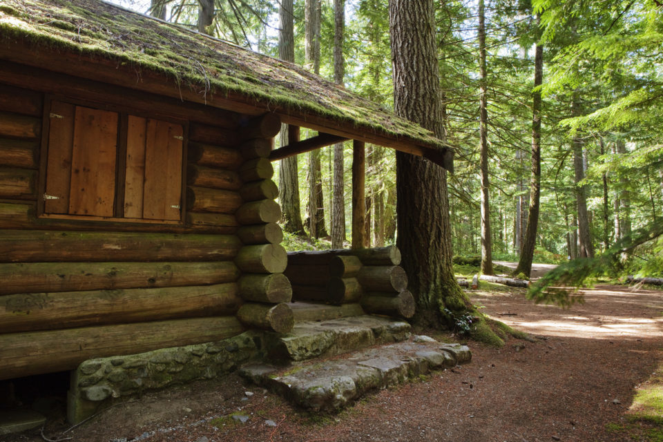 log Cabin in the woods