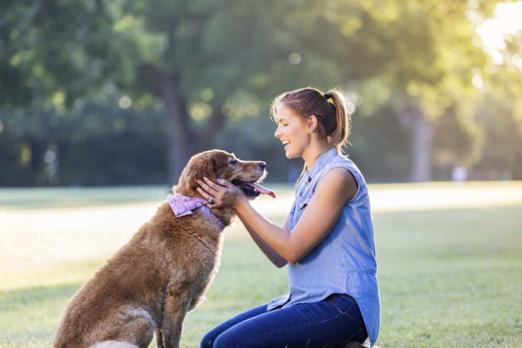 person and dog at park